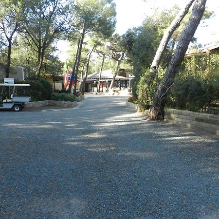 Camping Casa Di Caccia マリーナ・ディ・ビッボーナ エクステリア 写真