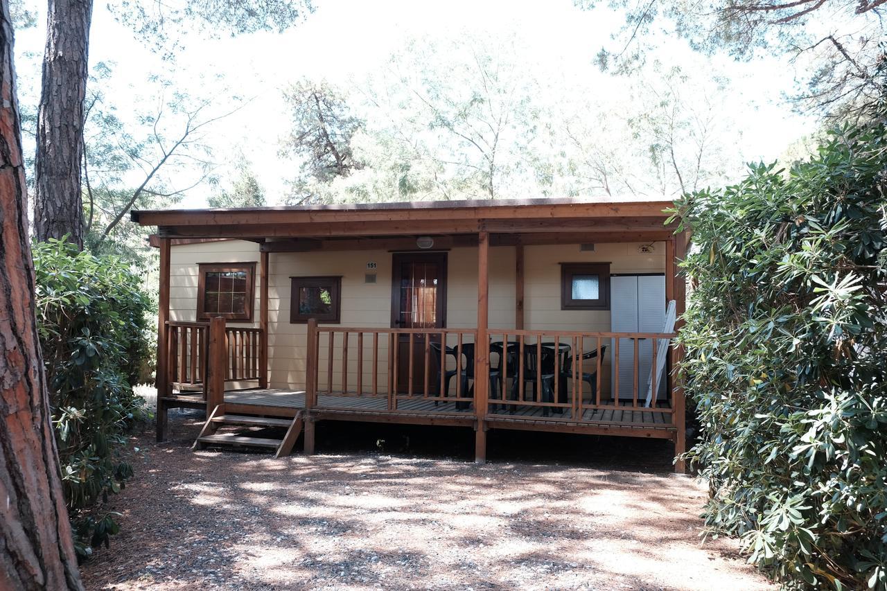Camping Casa Di Caccia マリーナ・ディ・ビッボーナ エクステリア 写真