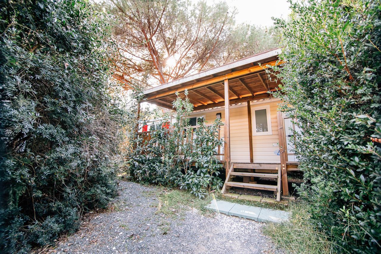Camping Casa Di Caccia マリーナ・ディ・ビッボーナ エクステリア 写真
